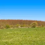 Ae209-marstal-bralandsvej-1-st